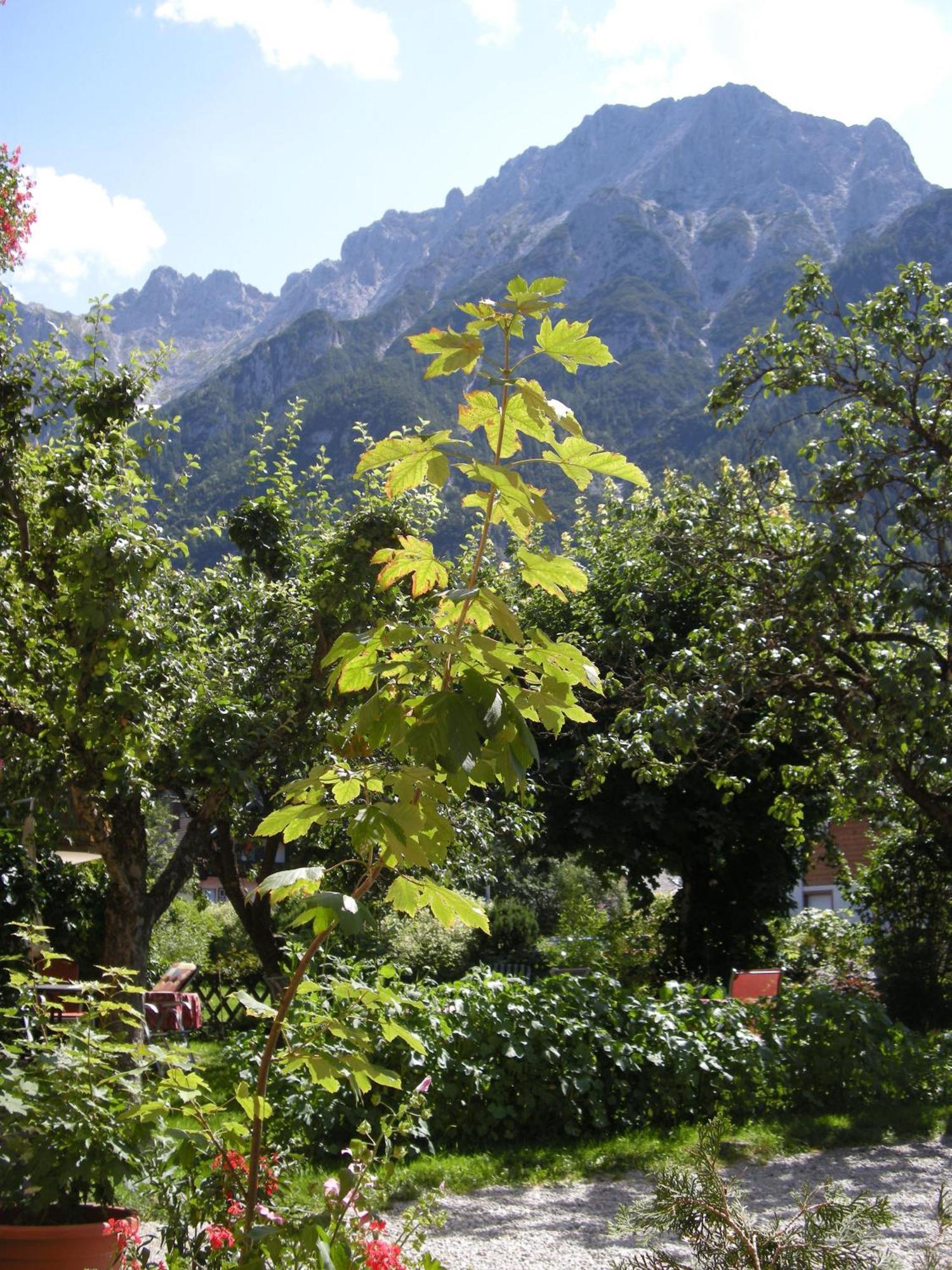 Pension Bavaria Mittenwald Esterno foto